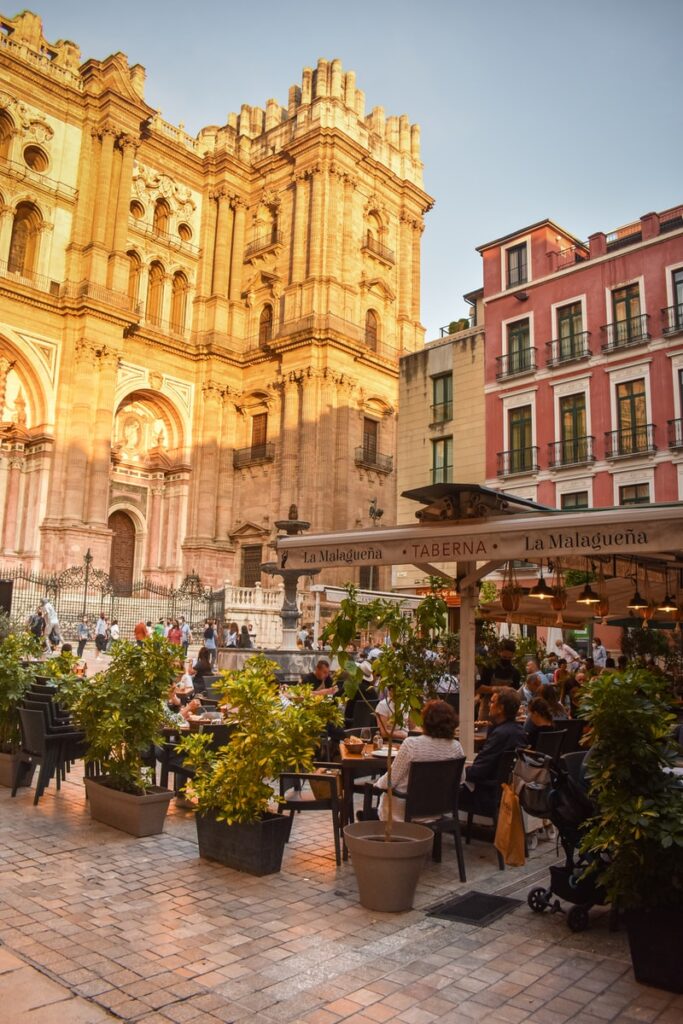 videntes en malaga